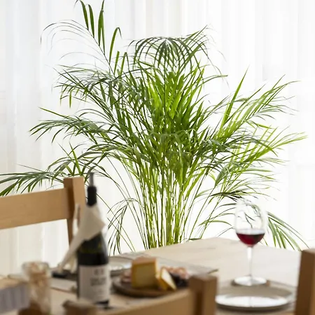 Chasa Helvetia Trai Lägenhet *